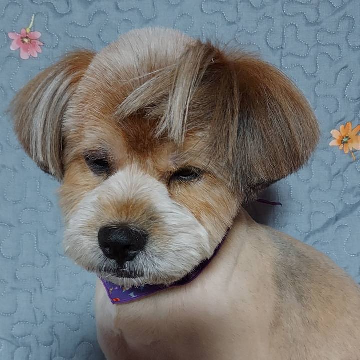 Bd4f0377 d248 4c63 9a73 fc7b9f9f1fc3 1633344017590