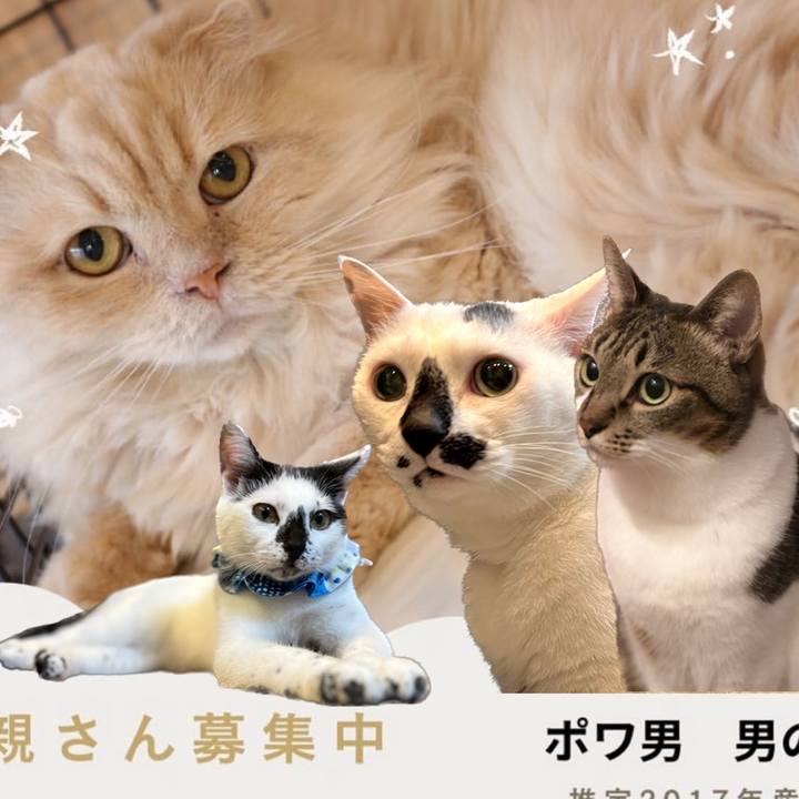 Bd4f1c13 c18f 416d 8ef0 7b2e84988286 1676861061004