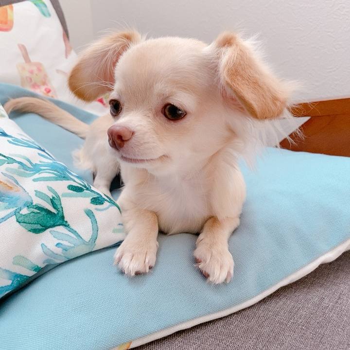 Bd4f5835 d3ce 46d3 aad2 be58fa882a30 1597620054457