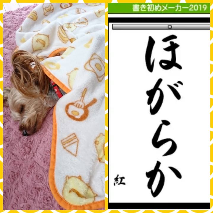 Bd4f7ca0 6eaa 4a00 826d 1ecc31d801b0 1546482754029