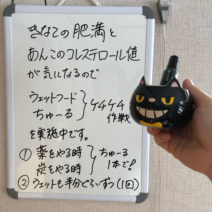 Bd4fafed d488 49df a0d7 ecad5a4efcf6 1583533431543