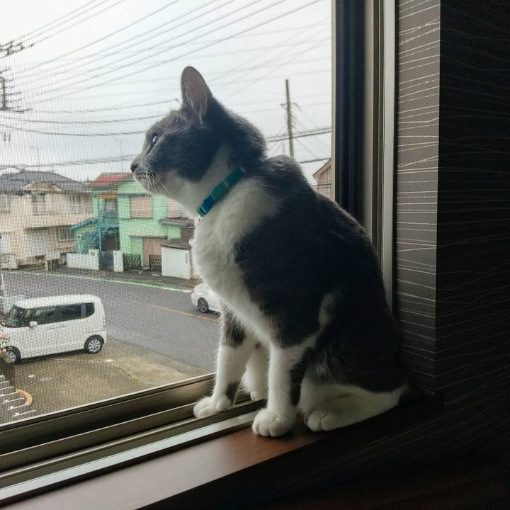 Bd4fbd41 2c9b 4743 844b 668d6c75b7c2 1628909188217