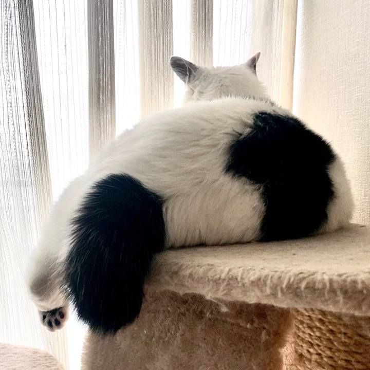 Bd4fc5bb b738 4c9e 8106 2d616cda3d33 1575174791022