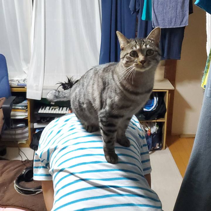 Bd4fc686 3722 45c4 84bf c6253063996d 1697125925338