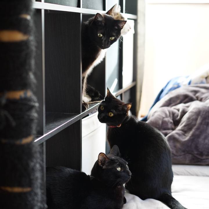 Bd4ffe05 1469 4cdc 85cb 723ca97906f1 1548596762189