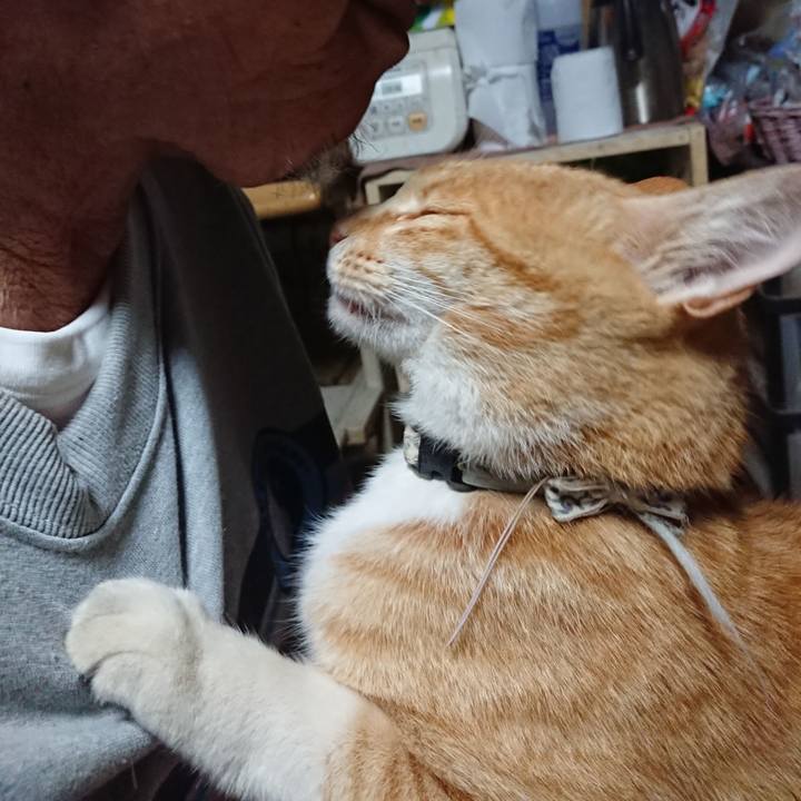 Bd5016ff 4ed7 43fb a506 31aedeefa763 1591644282158