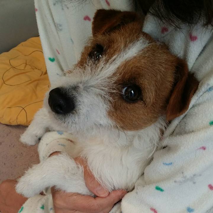 Bd5020f2 e28d 42c7 be72 ac6c5eae28d4 1515889574214