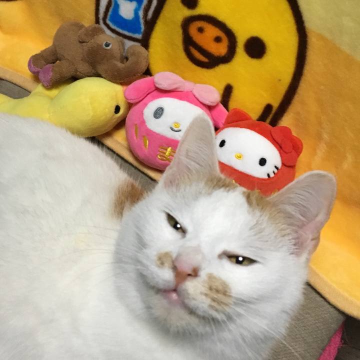 Bd5085b9 fa85 4655 a5e6 61344d1c4122 1547469222516