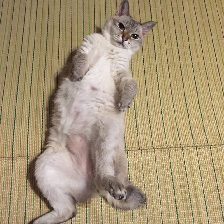 Bd509f6b ca9a 4393 a216 ee59a0be6e8e 1534677538484