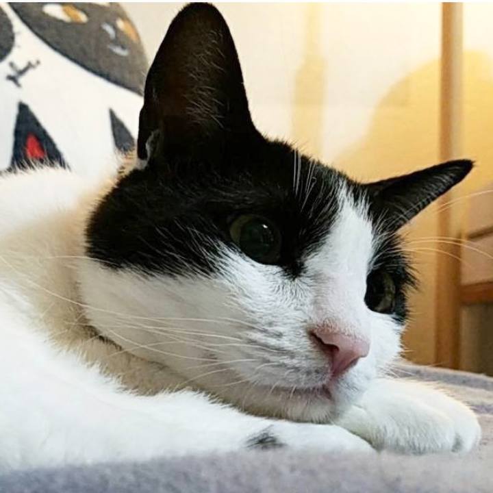 Bd50d7b7 473f 4c88 bf80 b73ffd474515 1615124664671