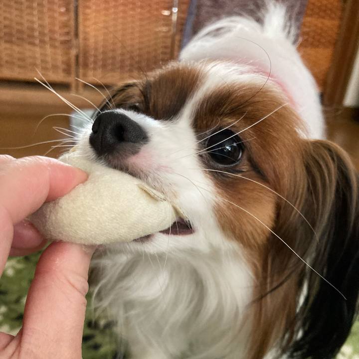 Bd5102ac 25e0 4417 b7d6 3656a31d0638 1646202793685