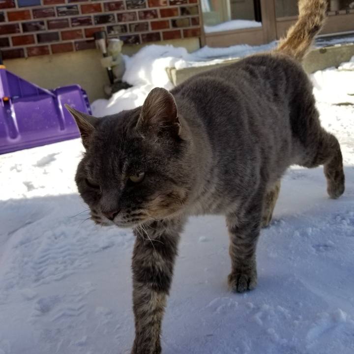 Bd51621e 5151 4150 bef7 8bd5df411ede 1546827384977