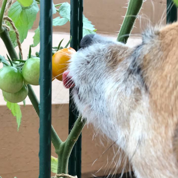 Bd516927 96d3 42b3 84da 2d48415cb21b 1593223230922