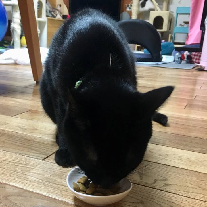 Bd517773 9fc3 44a4 ba8a 40732817a4e5 1535724724922