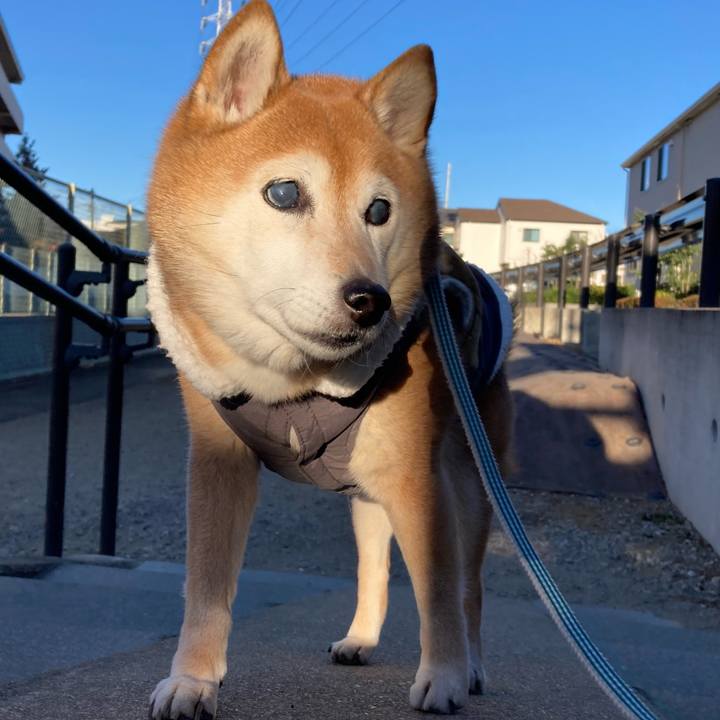 Bd51982d 4dd3 4c5a a237 f5200ad88d2c 1739087648482