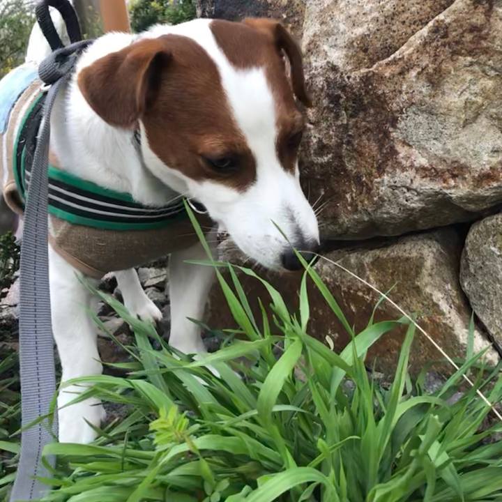 Bd51c1fc cd13 4d10 a01b 6bb8be930018 1553240302865