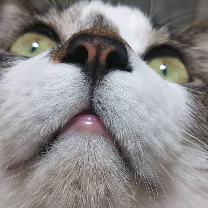 Bd51e9cf 09b3 4978 b9c6 f2b4f3f159b7 1641421195195