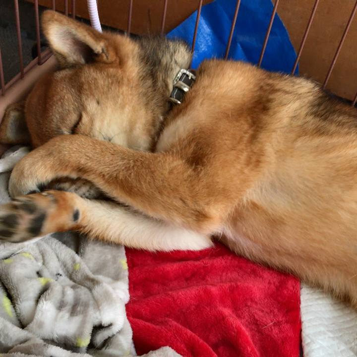 Bd520264 6dfd 4aff ac77 ea30645b717c 1524457387778