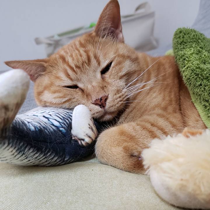 Bd523b4b 2099 43d7 9f41 c8dee3c47cae 1724729592265