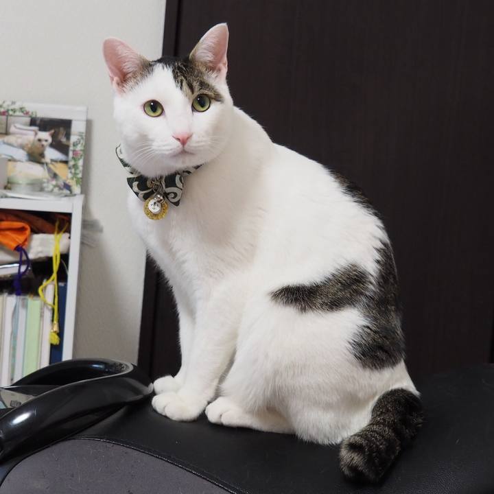 Bd528779 1ba1 423c 967a 7fd8f6af8cf2 1518523605516