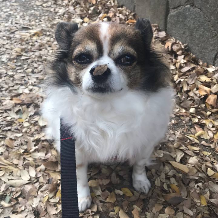 Bd52a5a6 e303 47a2 b7a5 90ce4a6c2f58 1671594298171