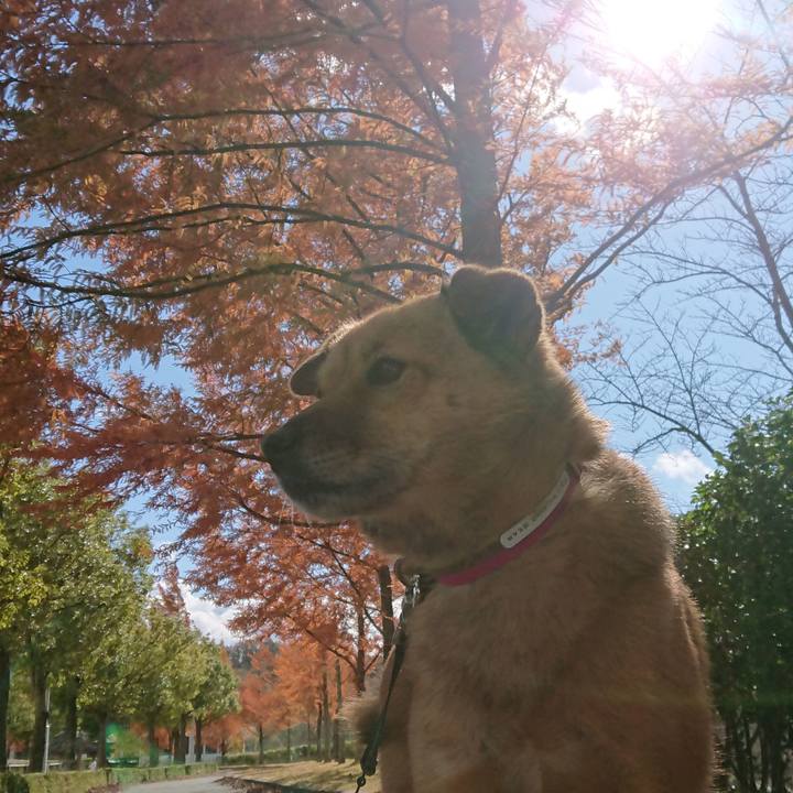 Bd52bb1d b3c5 42ee aedd a05134bb1e5e 1605172264904