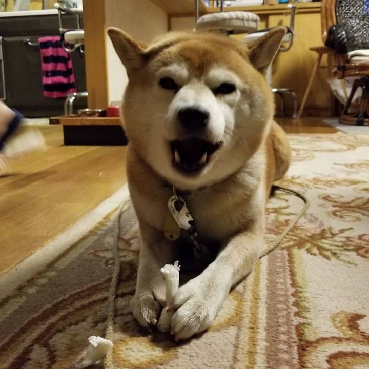 Bd52ff20 8374 46b7 bc63 1457d313ea4b 1573545034308