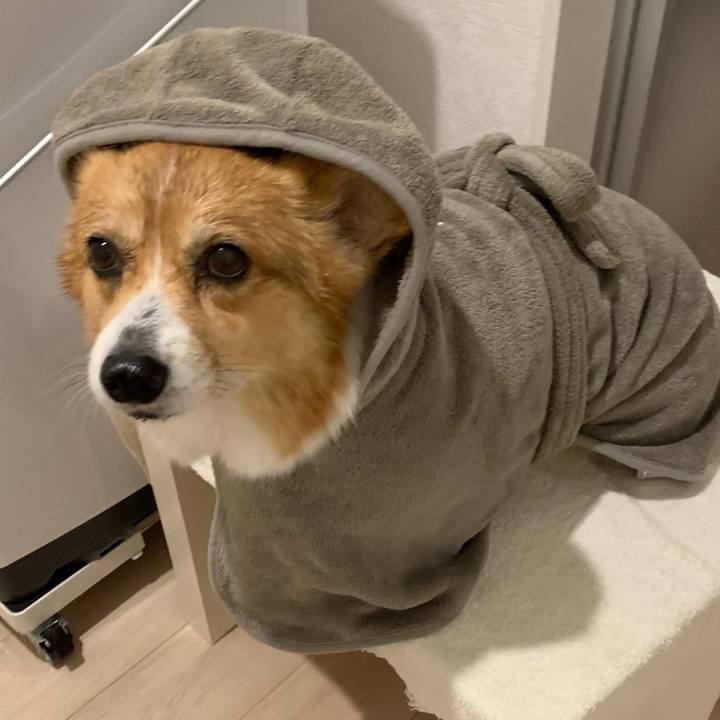 Bd530968 8a10 49ff ae28 dbe3bef9deb4 1672050295481