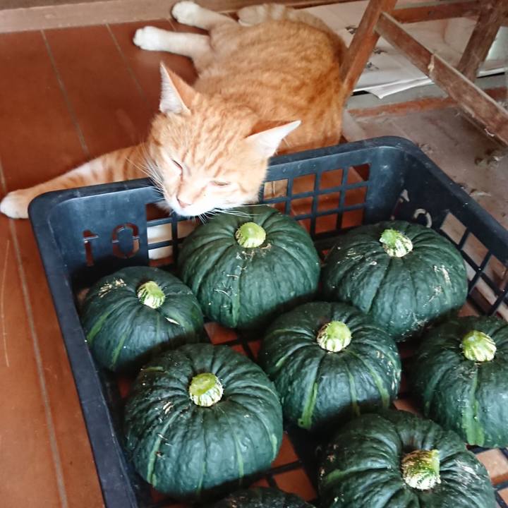 Bd531e58 a95d 45f3 97a4 285d375e0c43 1564884898309