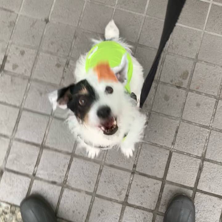 Bd53215a 5ac0 426a 832a 0a0348d5ac8a 1719561336344