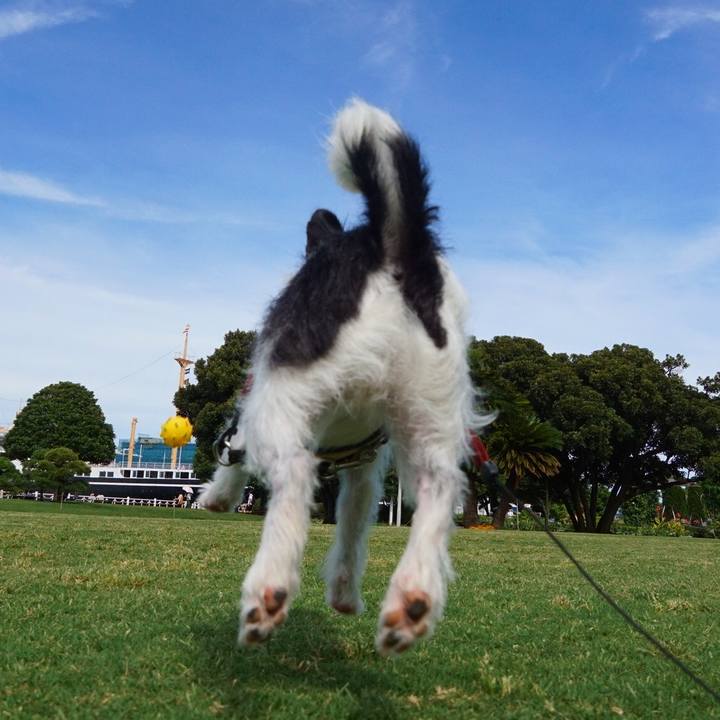 Bd535462 39d5 4d49 936b 98d0f00cb039 1530613889509