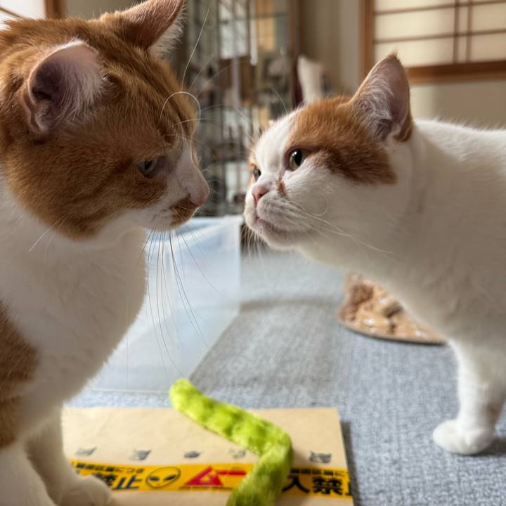 Bd536e9e cb12 48c5 84e3 b691e5b445cb 1768963781175