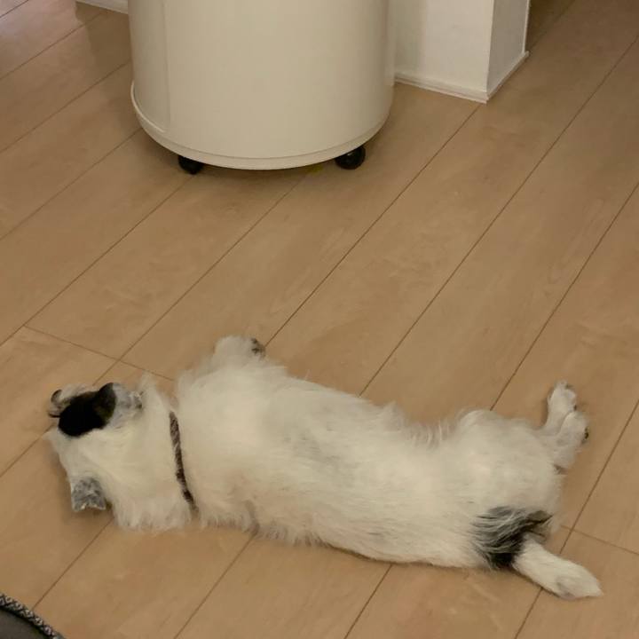 Bd53b42b 646d 4176 b7cc 0d09124d0d73 1724929373992