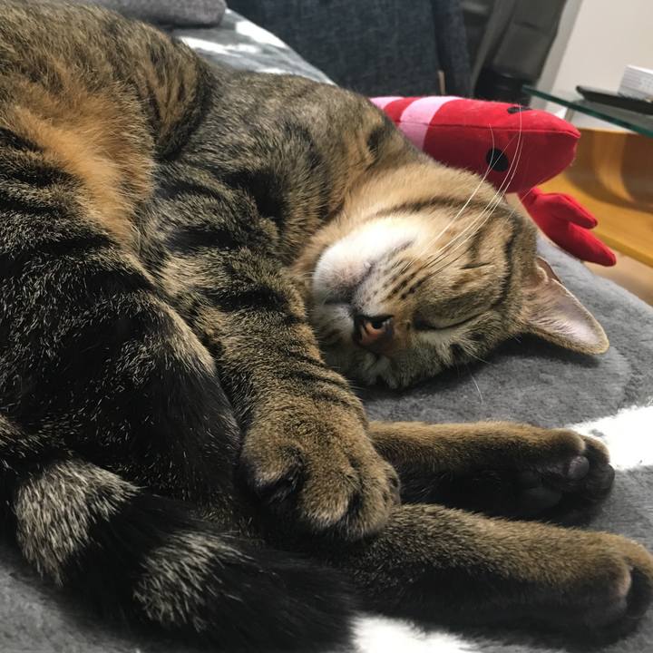 Bd53dedd aa09 441a 861e a56b76c3c5c8 1520142429791