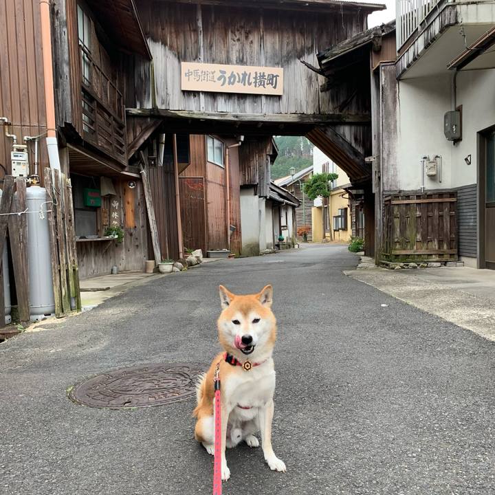 Bd53e87b d666 456a 9cbe 6a22885f9738 1606476433868