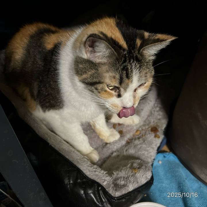 Bd5414f5 9530 45ff ad22 029ffdc5cf02 1760565538882