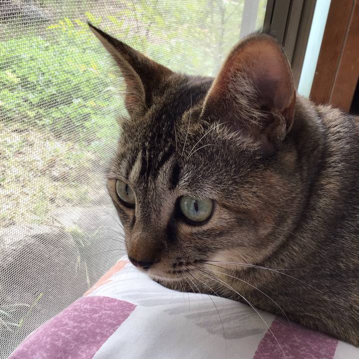 Bd5430b7 21f9 44e9 818c 65f91051fb94 1585363067506