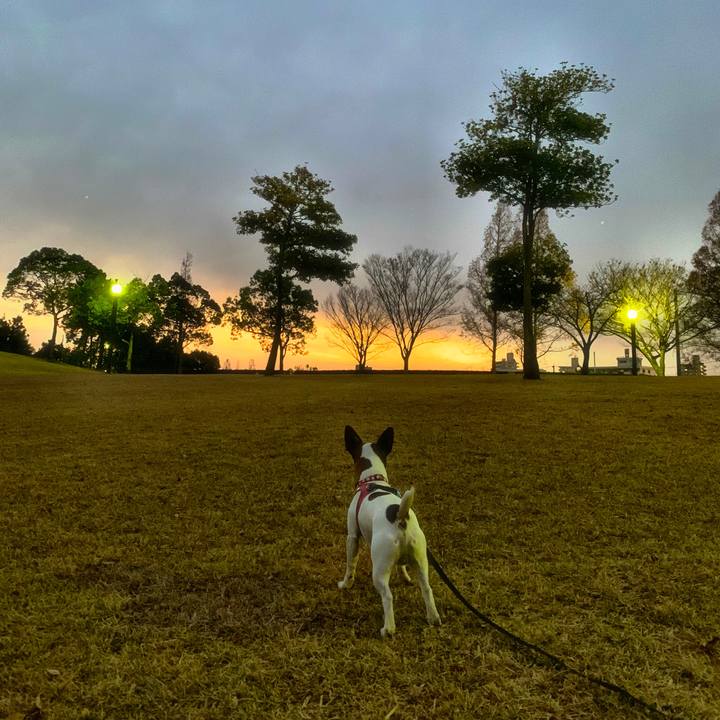 Bd544b3f 9f10 4f48 b96a 5817a879392c 1544968397453