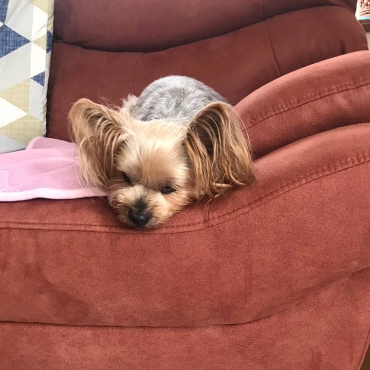 Bd545804 3cde 4a9d aa35 1ad456f7ff4b 1601199410278