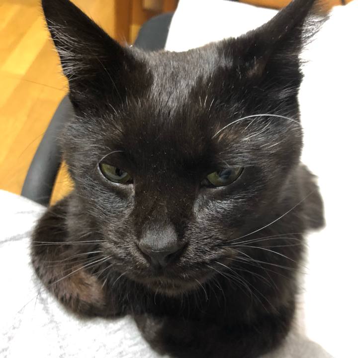 Bd547e2c 0143 40f7 8b22 43307ca496c3 1598027237721