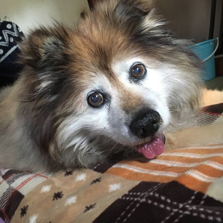 Bd547e60 0ce0 4c48 90a9 b1038fc04926 1552726667006