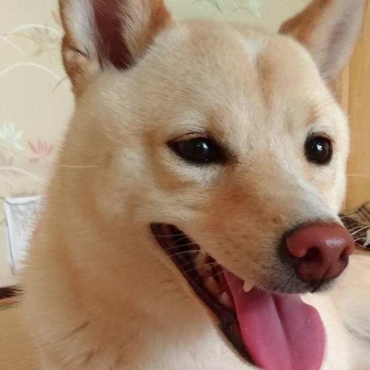 Bd547f30 2f0e 4621 b2c3 2c2b6114b338 1530226513383