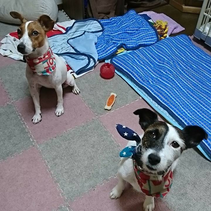 Bd549faa 5131 413b 8146 70289b441d2c 1532471612333