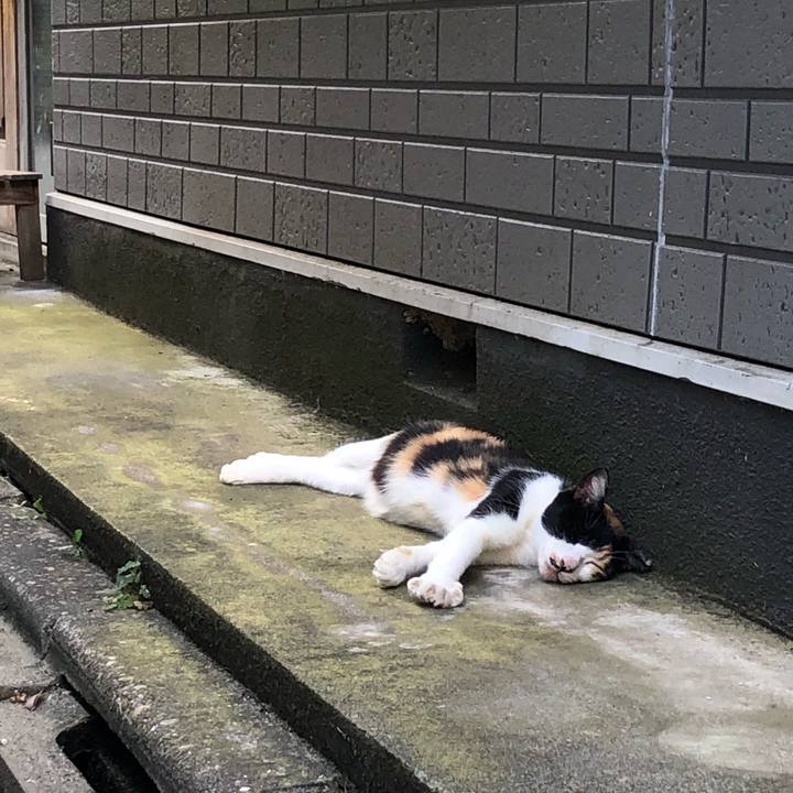 Bd54a580 405e 4336 9d82 6b49b76a9768 1599977800066