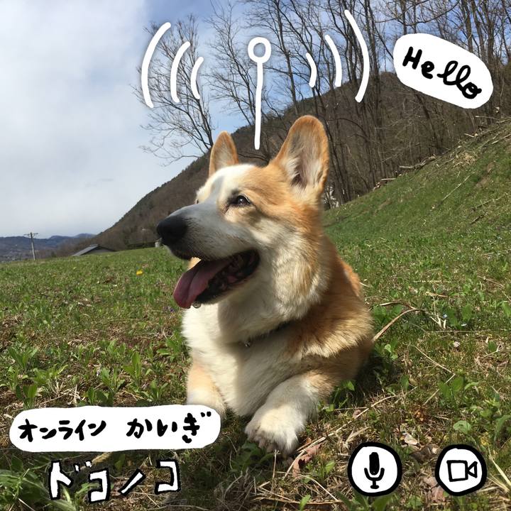 Bd54b677 8fd7 4e33 a43a 5e137e6dc26c 1590724165415