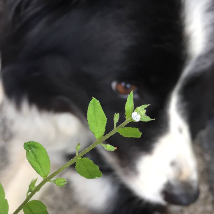 Bd54b943 fd7d 44e6 9f2c 7c894a3990e0 1562387254751