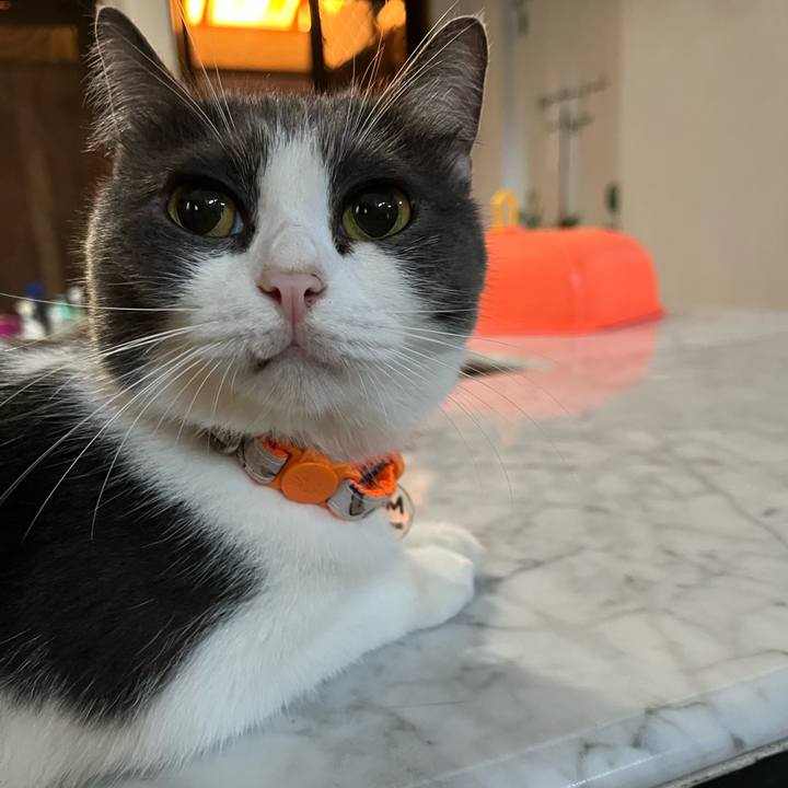 Bd54c24c 5f86 46a7 bf9f 638b4deaa078 1765754480874