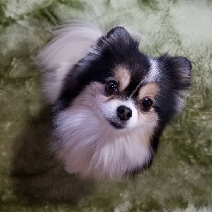 Bd54c715 043d 4727 b200 ee2cf3eeabcf 1577228795684