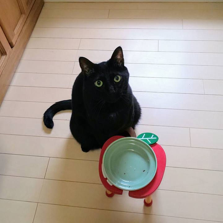 Bd54f818 ef3f 492b a819 ff37c0aaf92d 1713568049274