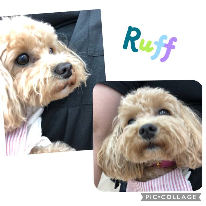 Bd54fb38 aeca 4a2a 8b6d ed933314b8f1 1655028313570